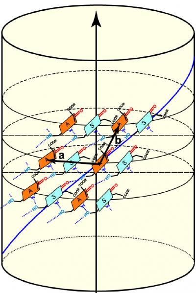 The Nuclear Magnetic Resonance (NMR) results enabled the scientists to determine that the chlorophyll molecules (shown in green and orange) in green bacteria are arranged in helical spirals, and are positioned at an angle to the long axis of the nanotubes.

Credit: Image by Donald Bryant, Penn State University, courtesy of Proceedings of the National Academy of Sciences