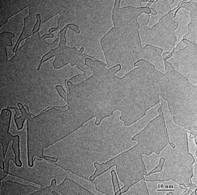 This is an electron micrograph showing the formation of interconnected carbon nanostructures on a graphene substrate, which may be harnessed to make future electronic devices.

Credit: Ju Li and the University of Pennsylvania