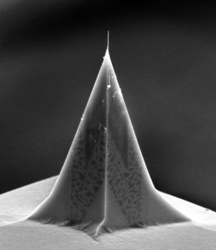 High-aspect Ratio AFM CNT Probe from Carbon Design Innovations 