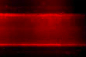 This image shows a microtube surface coated with nanocapsules containing a small-interfering RNA (which glows red under a fluorescent microscope). The capsules were targeted to specific circulating cells.