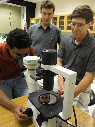 Ted Boscia/College of Agriculture and Life Sciences
From left, Vinay Pagay, Abraham Stroock and Alan Lakso examine a silicon wafer that will be used to build microsensors to monitor water stress in grapevines.