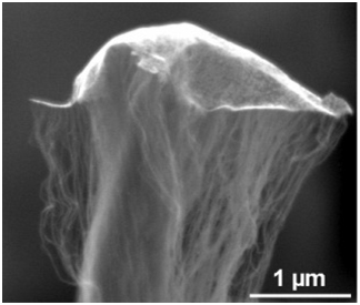 An odako grown at Rice University shows single-walled nanotubes lifting an iron and aluminum oxide "kite" as they grow while remaining firmly rooted in a carbon base.