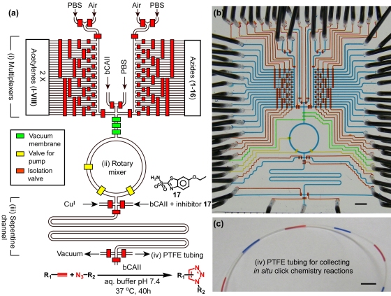 Design of the second-generation integrated microfluidic device.

Credit: UCLA/Hsian-Rong Tseng