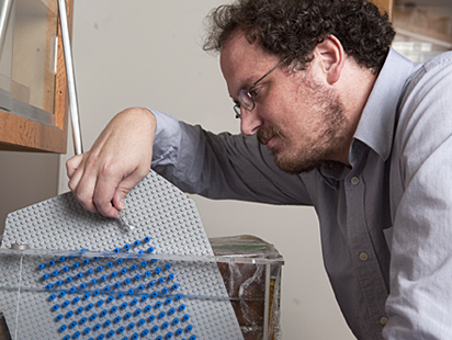 German Drazer, assistant professor of chemical and biomolecular engineering, prepares to use a LEGO board to study the way particles behave in a microfluidic device to re-create microscopic activity taking place inside lab-on-a-chip devices at a scale they can more easily observe.