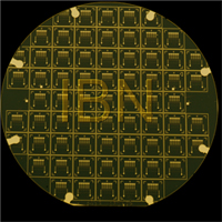 IBNs Nanogap Sensor Array wafer chip can detect DNA rapidly and cost effectively.