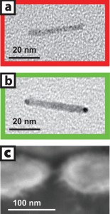 Image (a) is a transmission electron micrograph of a cadmium-selenide nanocrystal before gold tip growth in solution and image (b) is after tips have been added. Image (c) is a scanning electron micrograph of a single nanocrystal two-terminal device.
