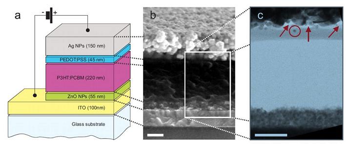 Figure 1 - (a) Schematic build-up of the organic solar cell, (b) SEM and (c) FIB/TEM cross sections of the polymer solar cell with a spray coated Ag top contact. 
