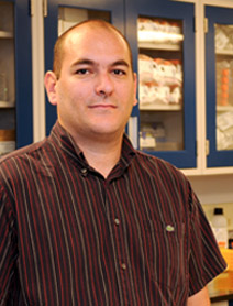 Frank Alexis, PhD
Assistant Professor of Bioengineering