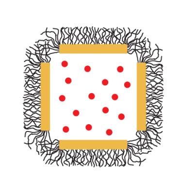 Attach a smart polymer to your gold nanocage, seen here in cross section with the pores at the corners. To load the cages, shake them in a solution of the drug at a temperature above the polymer's critical temperature. Let the cages cool, so that the polymer chains stand up like brushes, sealing the cage's pores. To release the drug, expose the cages to laser light (the lightning bolt) at their resonant frequency, heating them just enough to drive the polymer over its critical temperature. The polymer chains will collapse, opening the pores, and releasing the drug. The cage can be resealed simply by turning off the light.

Credit: Younan Xia, Washington University in St. Louis
