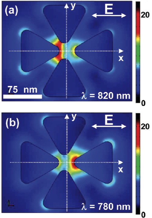 This scanning electron image of a nano colorsorter with the vertical bowtie antenna shifted 5 nanometers (nm) to the left of center. In (a) the bowtie has been excited at 820 nm and in (b) at 780 nm. The two modes are spectrally and spatially distinct while maintaining nanoscale mode volumes.