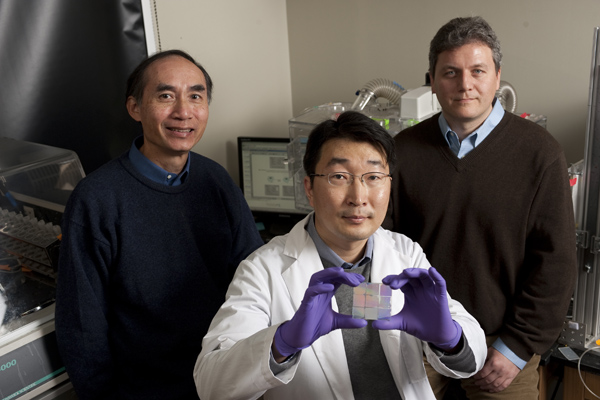 Leslie Tung, left, and Andre Levchenko, right, both of the Department of Biomedical Engineering, with Deok-Ho Kim, a doctoral student in Levchenkos lab, who holds a nanopatterned chip able to cue heart cells to behave like natural heart tissue. Photo: Will Kirk/homewoodphoto.jhu.edu
