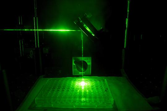 The near-infrared laser pathway into the cell culture plate, traced by visible laser for photo. photo credit: Rod Rolle