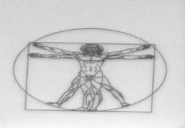 This image of Leonardo da Vinci's Vitruvian Man is milled into a piece of silicon by a focused ion beam instrument and is 15 m in diameter 