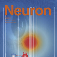 Dr Kittler's research is published in the 14 January issue of Neuron journal