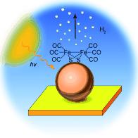 Hitting water with a 2 iron: A novel nanophotocathode for hydrogen production that is based on a multilayer array of InP quantum dots activated with a synthetic diiron catalyst, which is related to the subsite of FeFe hydrogenase.