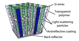 This is a schematic diagram of the light-trapping elements used to optimize absorption within a polymer-embedded silicon wire array. Credit: Caltech/Michael Kelzenberg