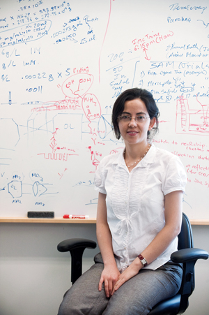 Hatice Altug, an assistant professor of electrical and computer engineering. Photo by Vernon Doucette