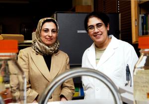 On Target: Lavasanifar (left) and fellow researcher Samar Hamdy are developing complex nanoparticles that range from 100 to 500 nanometres in size.  Photo by Pete Yee