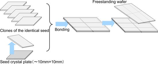 Figure 1 : Production process of a mosaic large-area wafer