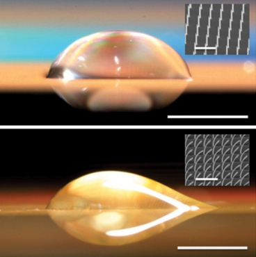 A symmetrical droplet (top) forms on a surface with straight nano-pillars, while on a surface with bent pillars (bottom) the droplet is asymmetrical, extending out only to the right. Inset images are micrographs of the surface structure.  Images: Kuang-Han Chu, Rong Xiao and Evelyn N. Wang 