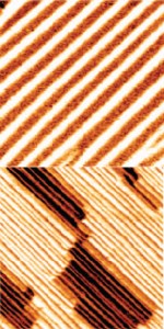These nanoscale images of bismuth ferrite thin films show ordered arrays of 71 degree domain walls (top) and 109 degree doman walls (bottom). By changing the polarization direction of the bismuth ferrite, these domain walls give rise to the photovoltaic effect. (Image from Seidel, et. al.)