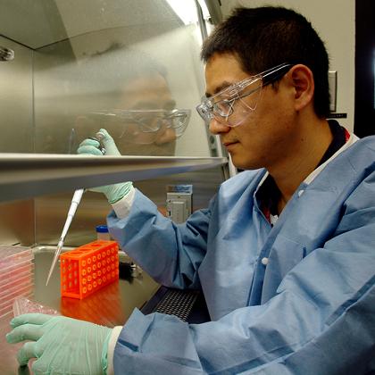 Los Alamos National Laboratory toxicologist Jun Gao, a co-author in the study, works in his laboratory. Courtesy of Los Alamos National Laboratory.
