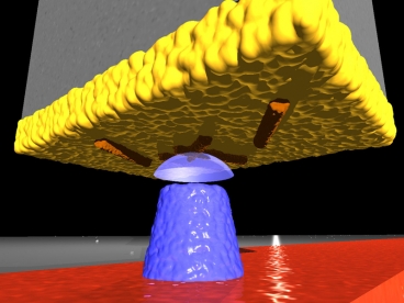 In this diagram, viruses (colored orange) cling to the gold surface (yellow) at the end of a silicon cantilever. A magnetic tip (blue) creates a magnetic field that interacts with the viruses to create an image, using magnetic force resonance microscopy. Image: Martino Poggio, University of Basel