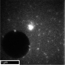 Annular dark field dynamic transmission electron microscopy (ADF-DTEM) can produce high-contrast images of catalyst nanoparticles with 15 ns temporal resolution (see picture). The contrast improvement provided by this technique enables imaging studies on the dynamics of heterogeneous catalysts at unprecedented spatial and temporal resolution.