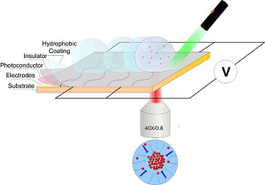 This diagram depicts the design of a new "hybrid optoelectric" device. The device uses a tightly focused infrared laser beam to position tiny particles, such as viruses and bacteria, onto a sensor. (Han-Sheng Chuang/Purdue University Birck Nanotechnology Center)