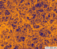 The gold-coated silver chloride nanowires at the microscopic level