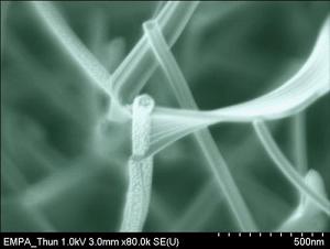 Under the scanning electron microscope (SEM): palladium octaethyl-porphyrin nano-lamellae and nanowires growing on a perylene nanowire which has been sputtered with silver particles.