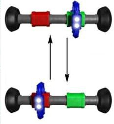 Rotaxane, showing movement of ring to different stations along the rod.