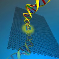 A layer of graphene shown with a tiny nanopore drilled into its surface. Researchers at Harvard and MIT demonstrated that the membrane holds potential for speeding up DNA sequencing due to its extreme thinness. 