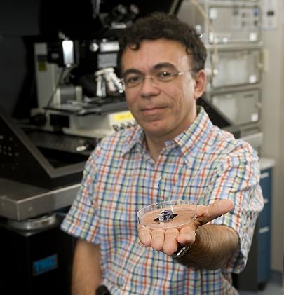 Babak Ziaie, a Purdue professor of electrical and computer engineering and biomedical engineering, shows a new type of pump for drug-delivery patches that might use arrays of "microneedles" to deliver a wider range of medications than now possible with conventional patches. (Purdue University photo/Mark Simons)
