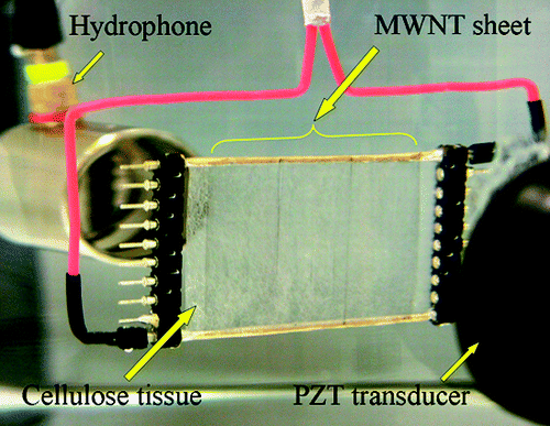 The application of solid-state fabricated carbon nanotube sheets as thermoacoustic projectors is extended from air to underwater applications, thereby providing surprising results. While the acoustic generation efficiency of a liquid immersed nanotube sheet is profoundly degraded by nanotube wetting, the hydrophobicity of the nanotube sheets in water results in an air envelope about the nanotubes that increases pressure generation efficiency a hundred-fold over that obtained by immersion in wetting alcohols. Due to nonresonant sound generation, the emission spectrum of a liquid-immersed nanotube sheet varies smoothly over a wide frequency range, 1−105 Hz. Copyright American Chemical Society