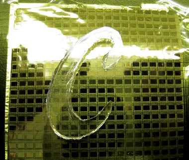 Photo of an artificial skin made of nanowires. The e-skin was able to accurately sense the shape of the Cal "C" placed on top.