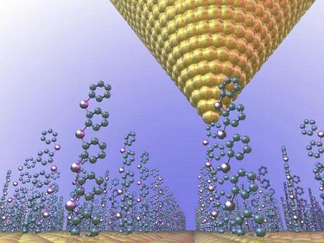A "forest" of molecules holds the promise of turning waste heat into electricity. UA physicists discovered that because of quantum effects, electron waves traveling along the backbone of each molecule interfere with each other, leading to the buildup of a voltage between the hot and cold electrodes (the golden structures on the bottom and top). (Rendering by Justin Bergfield)