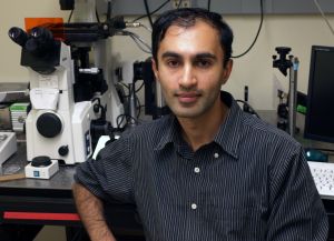 Raghuveer Parthasarathy, a professor of physics and member of the UO's Materials Science Institute and Institute of Molecular Biology