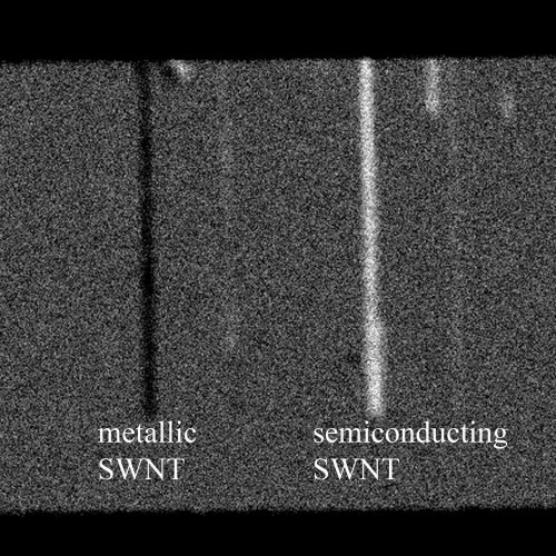 Metallic and semiconducting single-wall carbon nanotubes are distinguished using a new imaging tool for rapidly screening the structures. The technology may hasten the use of nanotubes in creating a new class of computers and electronics that are faster and consume less power than those in use today. (Weldon School of Biomedical Engineering, Purdue University)