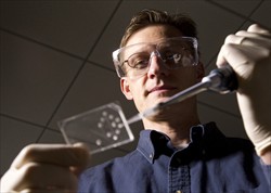 Chemistry professor Adam Woolley created a microchip that could speed up cancer detection.  Photograph by Mark A. Philbrick