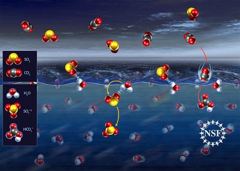 Geraldine Richmond and her team at the University of Oregon were surprised to find that molecules of sulfur dioxide (SO2) in the atmosphere tend to form a weak bond with water molecules at the surface of the liquid before finally submerging, whereas carbon dioxide (CO2) molecules dive right in.

"This is the first time that anyone has ever measured, with this level of molecular detail, a gas-surface complex at the surface of liquid water," Richmond said. "We are now investigating a whole series of important environmental gases, ions and solutes at the water surface." Credit: Nicolle Rager-Fuller