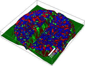 An application example illustrating the working principle of True Surface Microscopy (Topographic Raman Image of a Pharmaceutical Tablet). 