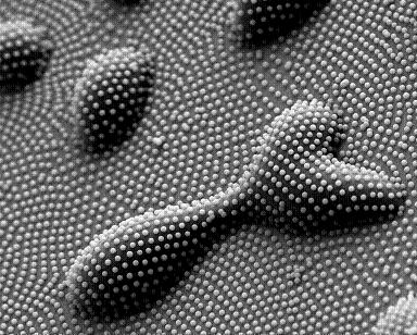Nanoparticle arrays on a topographically uneven surface