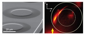 On left, a scanning electron micrograph of Eaton lenses on a gold film. On right, fluorescence imaging shows the intensity of SPPs propagating in z-direction (arrow) and bending to the right when passing through an Eaton lens. The solid line marks the outer diameter of the lens and the dashed line marks the high index region. (Image by Zhang group)