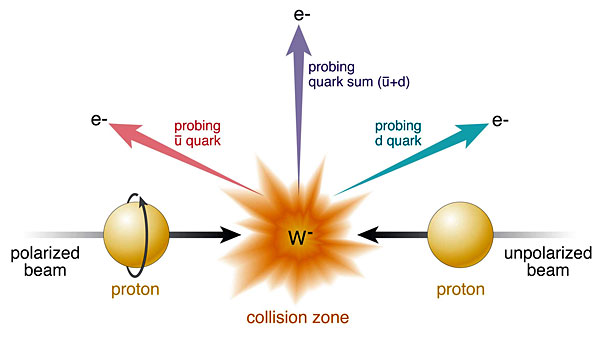 Illustration of a new measurement using W boson production in polarized proton collisions at RHIC. Collisions of polarized protons (beam entering from left) and unpolarized protons (right) result in the production of W bosons (in this case, W-). RHIC's detectors identify the particles emitted as the W bosons decay (in this case, electrons, e-) and the angles at which they emerge. The colored arrows represent different possible directions, which probe how different quark flavors (e.g., anti-up, ; and down, d) contribute to the proton spin.