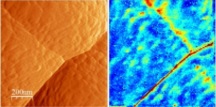 The topographic image (left) of amorphous Si anode in the Si/LiPON/LiCoO2 thin-film battery structure shows the presence of a number of grain boundaries, as well as extensive surface roughness. The ESM image (right) is obtained by measuring the electrochemical strain hysteresis loops at each pixel (100x100 pixel image over 1 micron area). The area hysteresis loop is a measure of Li-ion mobility, and is plotted as 2D map (dark blue corresponds to closed loops, red to open loops). The enhanced Li-ion mobility along the sharp grain boundary is clearly seen, as well as localized hot spots on the diffuse grain boundary and within the grains. The effective resolution of ESM for this material is ~ 10 nm, providing a high-resolution view of Li-ion dynamics in these materials.  (Reprinted from N. Balke, et al., Nano Lett. 10, 3420 (2010).  