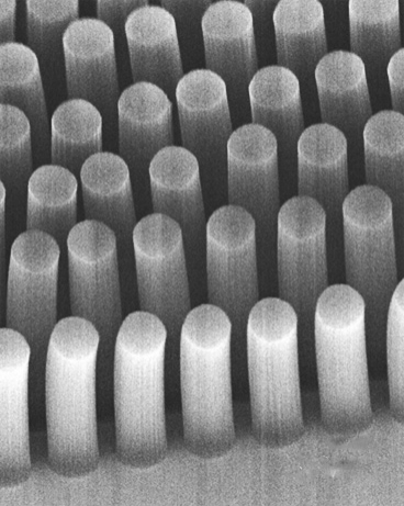 These posts, made of carbon nanotubes, can trap cancer cells and other tiny objects as they flow through a microfluidic device. Each post is 30 microns in diameter.
Image: Brian Wardle