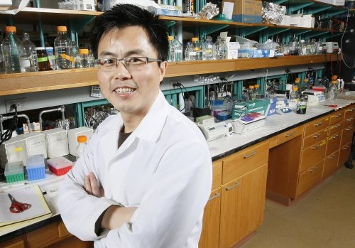 W. Andy Tao's nanopolymers can better assess whether cancer drugs are reaching their targets, a development that may reduce the side effects of those drugs. (Purdue Agricultural Communication photo/Tom Campbell)

