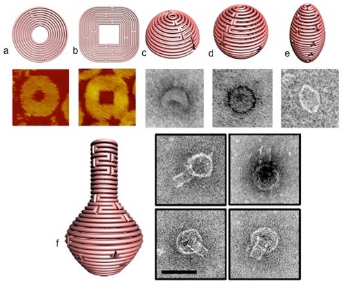 Figure 1 a and b display schematics for 2D nanoforms with accompanying AFM images of the resulting structures. 1-c-e represent 3D structures of hemisphere, sphere and ellipsoid, respectively, while figure 1f shows a nanoflask, (each of the structures visualized with TEM imaging).