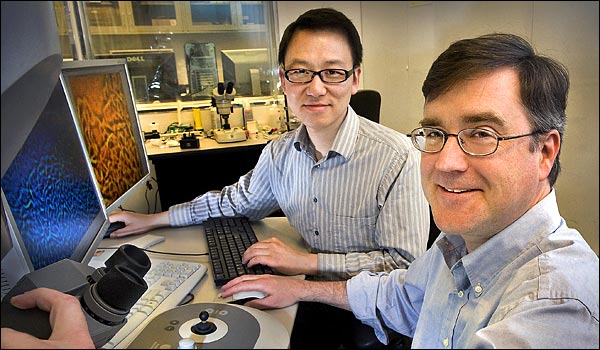 Dong Su and Eric Stach use a powerful electron microscope to analyze samples of activated graphene at Brookhavens Center for Functional Nanomaterials. Says Stach: The CFN provides access to scientists around the world to solve cutting-edge problems in nanoscience and nanotechnology. This work is exactly what this facility was established to do.
